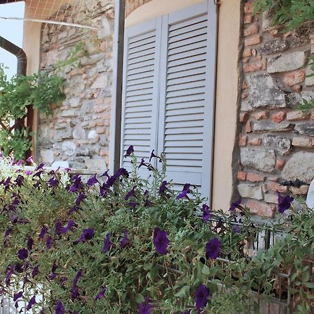 B&B Storico Como Room photo